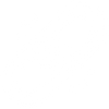 Feature 1 Icon