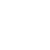 Feature 2 Icon