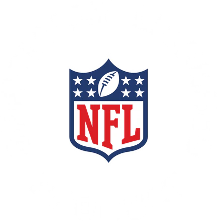 NFL Licensed Trading Card Slab Case